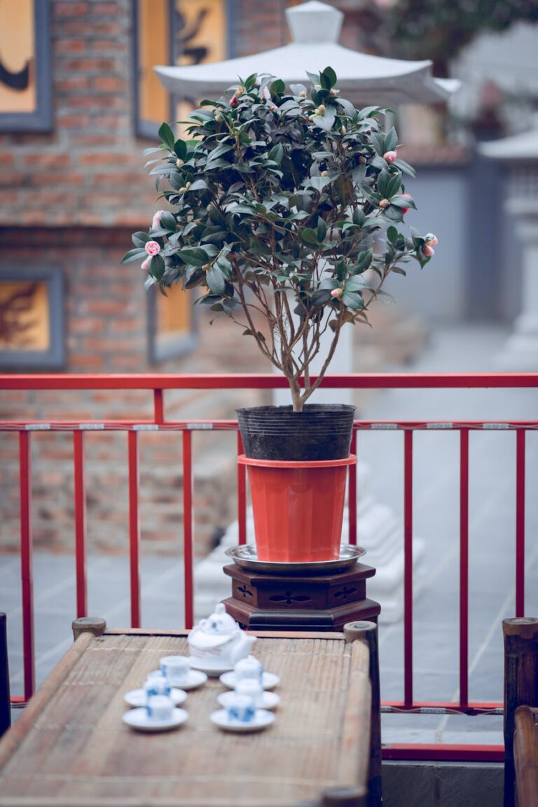 Jakie kwiaty wybrać na balkon?